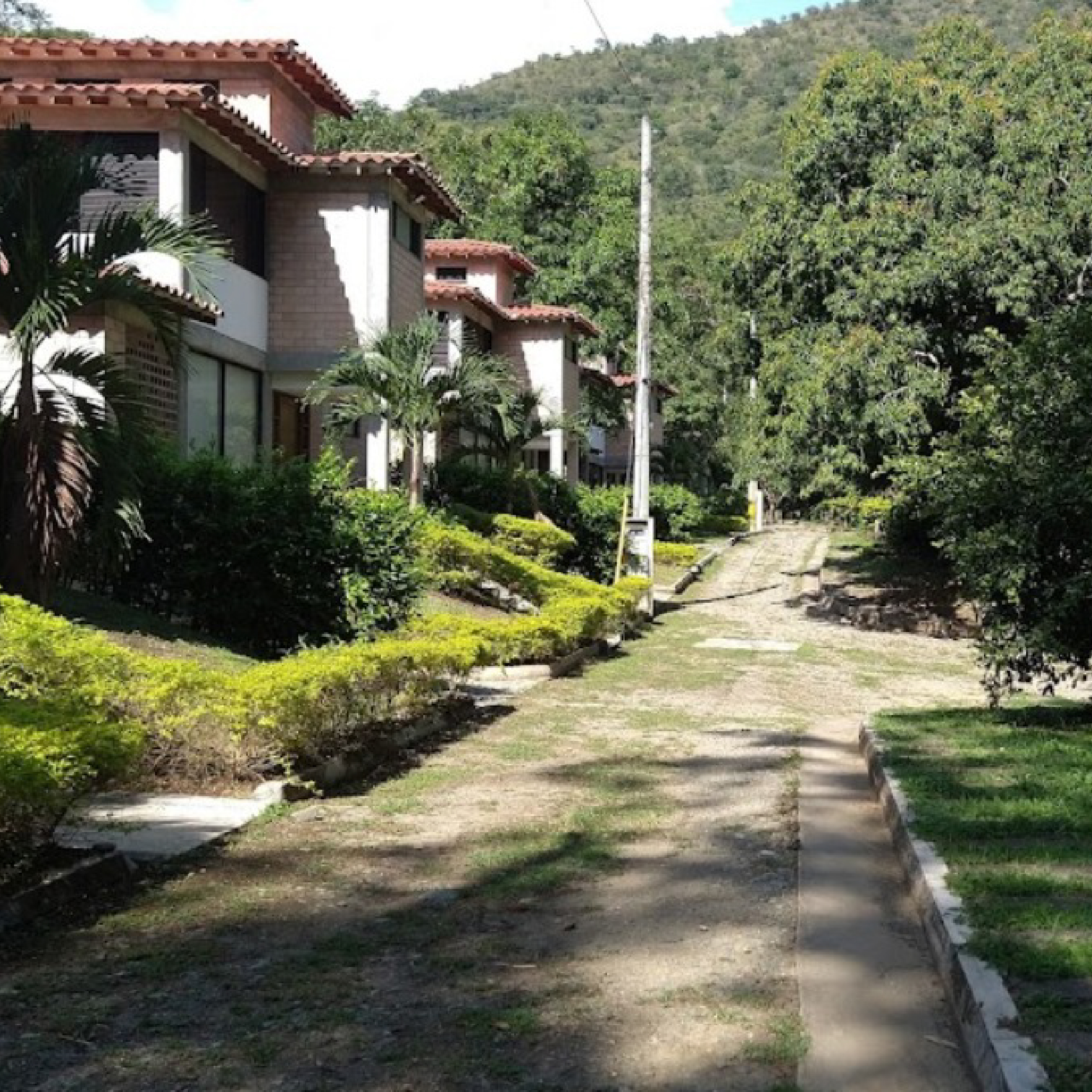 CLP-06
